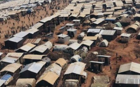 Ituri : le goût amer de l’indépendance pour les déplacés de Djugu dans l'Est de la RDC