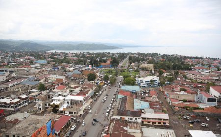 Cessez-le-feu dans l'Est : trois officiers des FARDC arrivent à Goma pour intégrer l'EJVM+