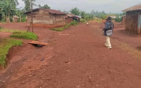Beni : au moins 16 civils tués dans une nouvelle attaque attribuée aux ADF, une journée de deuil annoncée