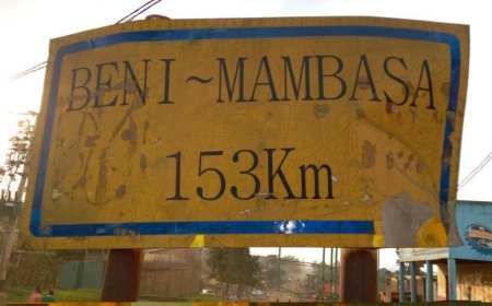 Mambasa : le bilan des attaques attribuées aux ADF s’alourdit désormais à 27 morts