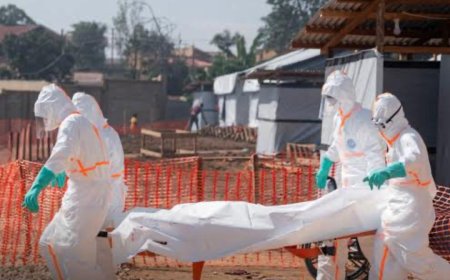 Face aux spectres des épidémies : Et si la clé du succès contre Ebola résidait dans l’acier et le béton ?