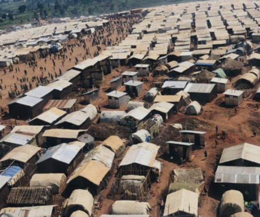 Ituri : le goût amer de l’indépendance pour les déplacés de Djugu dans l'Est de la RDC