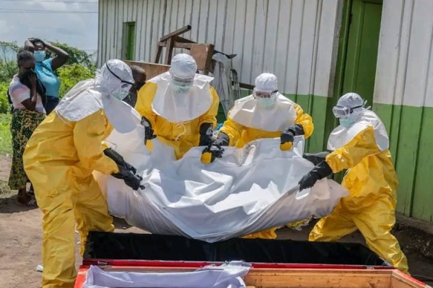 Ebola en Ituri : la zone de santé de Nizi au coeur des inquiétudes sanitaires, alerte INSP