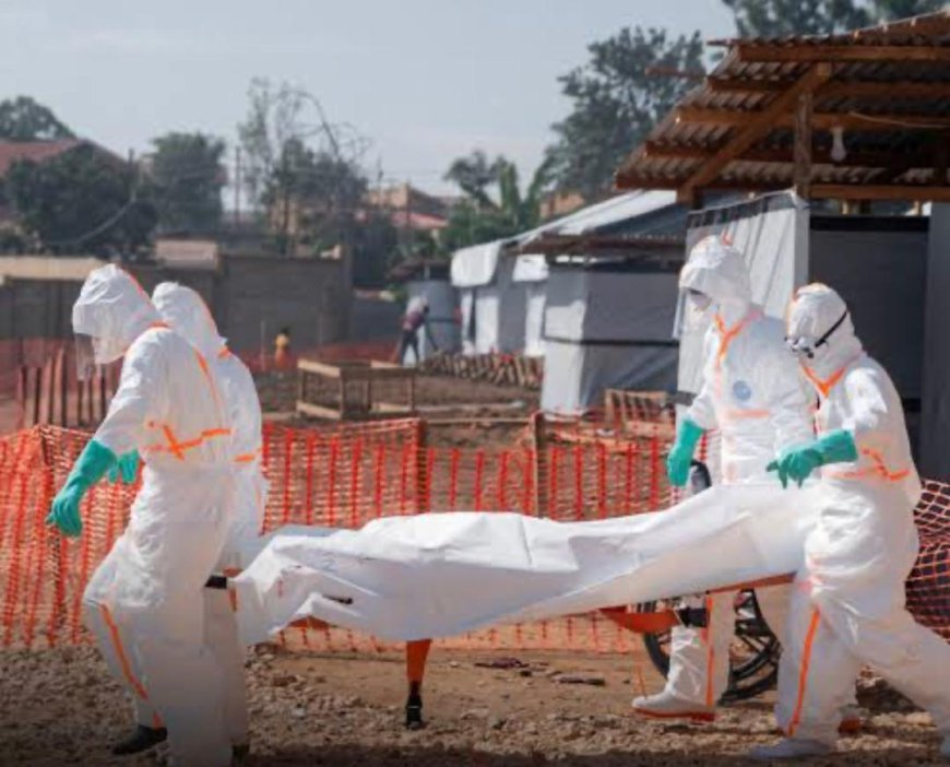Face aux spectres des épidémies : Et si la clé du succès contre Ebola résidait dans l’acier et le béton ?