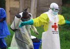 Ebola à Kinshasa : l'alerte de Lemba déclarée non fondée après enquête