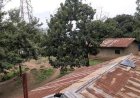 Mambasa : société civile alerte sur 8 corps restants sans sépulture après de nouvelles attaques attribuées aux combattants ADF