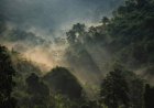 Environnement : Protéger la biodiversité, un impératif pour l’avenir de nos communautés