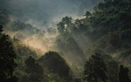 Environnement : Protéger la biodiversité, un impératif pour l’avenir de nos communautés