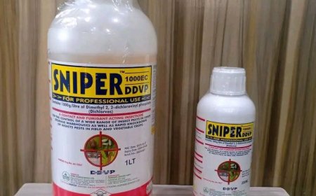 RDC : le « Sniper » interdit sur l’ensemble du territoire national
