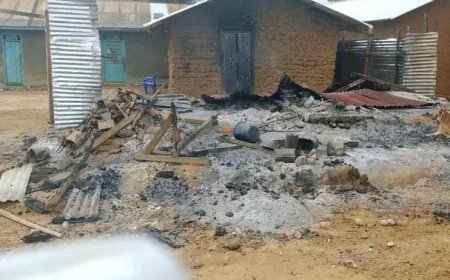 Mambasa : 7 civils tués et une vingtaine de maisons incendiées dans une incursion des combattants ADF à Amani