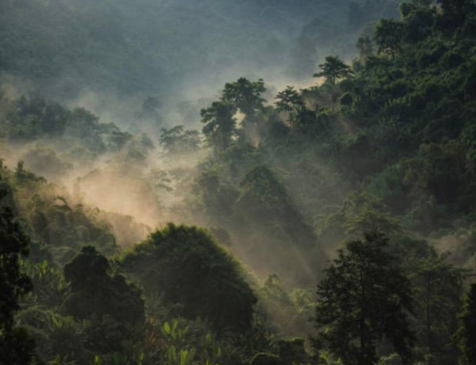 Environnement : Protéger la biodiversité, un impératif pour l’avenir de nos communautés
