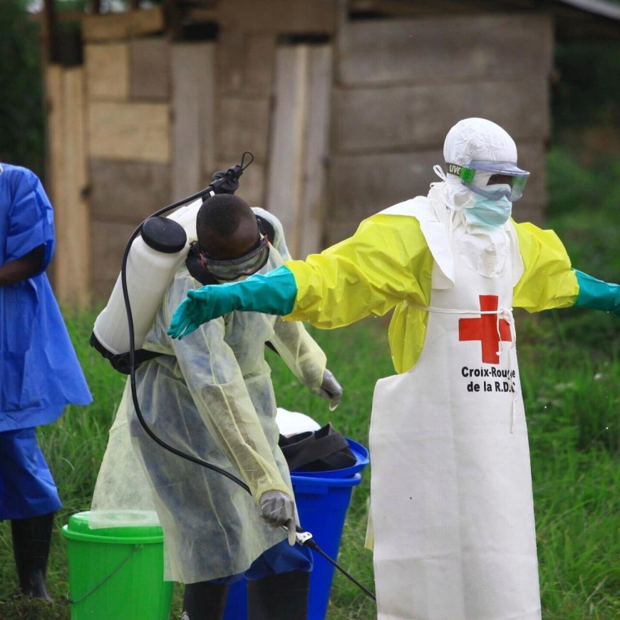 Ebola à Kinshasa : l'alerte de Lemba déclarée non fondée après enquête