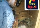 Nord-kivu : un homme retrouvé mort à Butembo après une accusation de vol, la Société civile exige une enquête